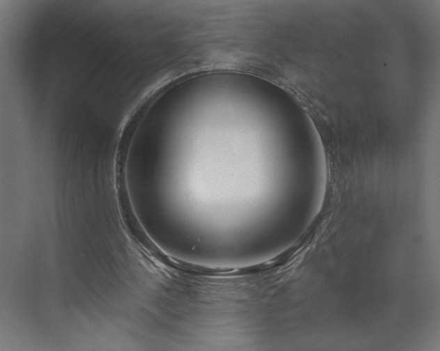 X0000073950244200608281222