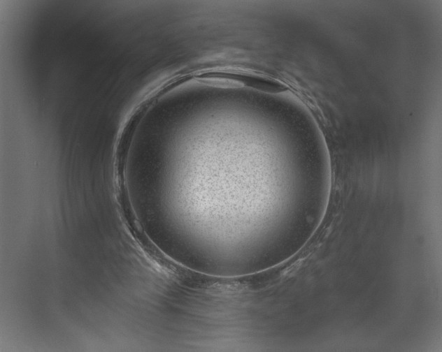 X0000073950245200608281222