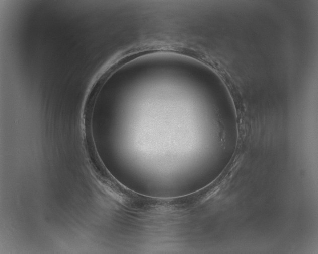 X0000073950246200608281222