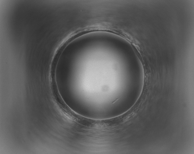 X0000073950248200608281222