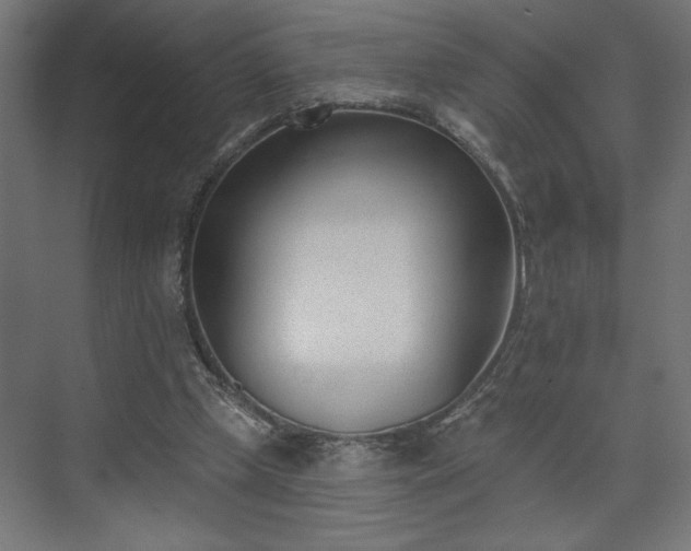 X0000073950249200608281222