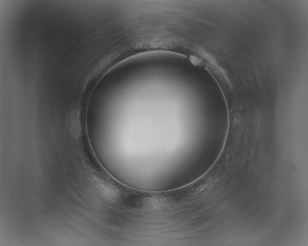 X0000073950250200608281222