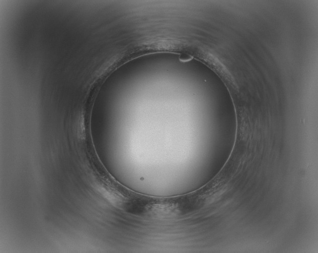 X0000073950251200608281222