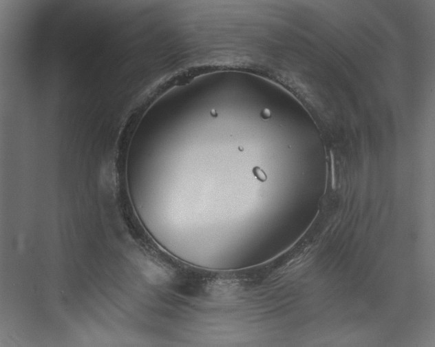 X0000073950252200608281222