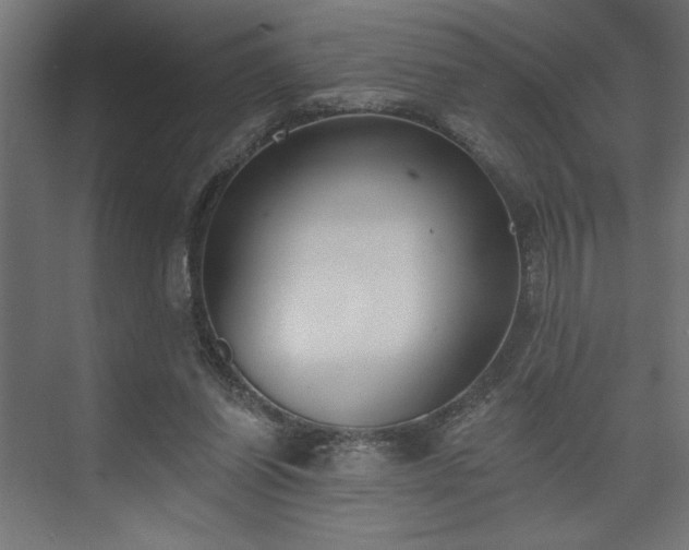 X0000073950254200608281222