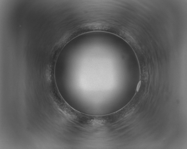 X0000073950255200608281222