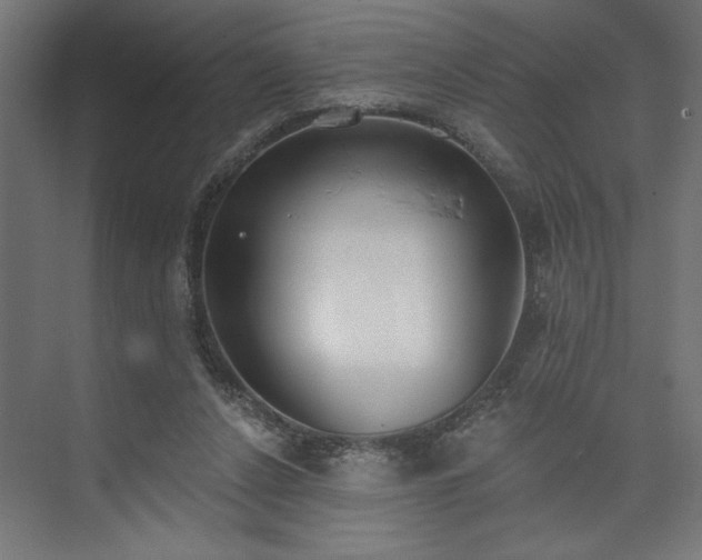 X0000073950256200608281222