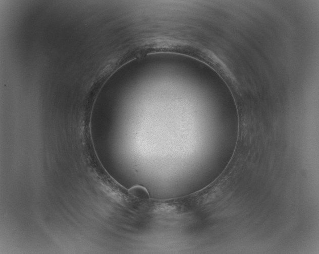 X0000073950257200608281223