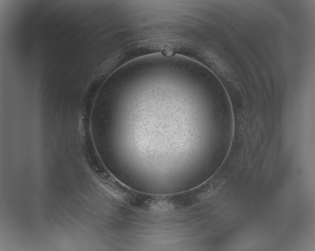 X0000073950258200608281223