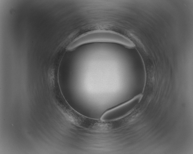 X0000073950260200608281223