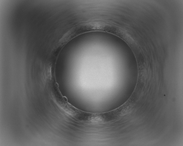 X0000073950262200608281223