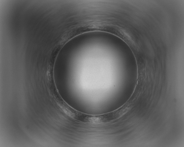 X0000073950265200608281223