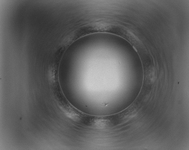 X0000073950268200608281223