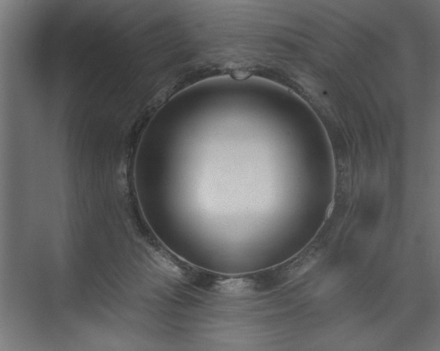 X0000073950269200608281223