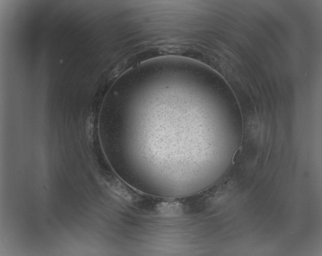 X0000073950271200608281223