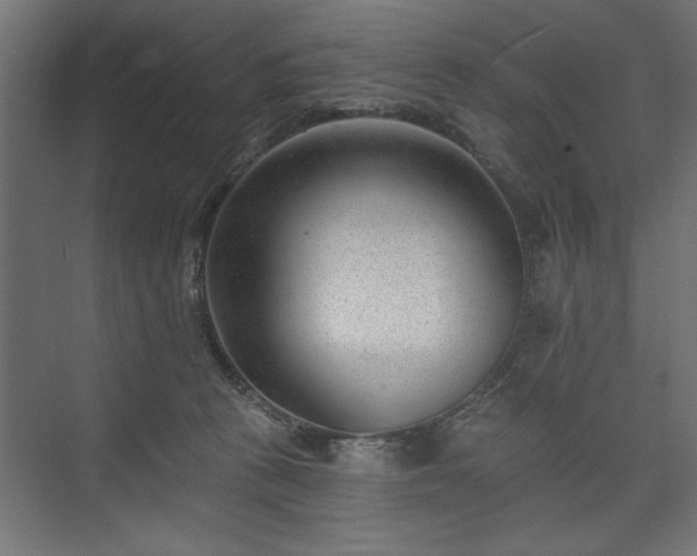 X0000073950273200608281223