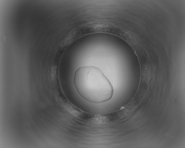 X0000073950278200608281223