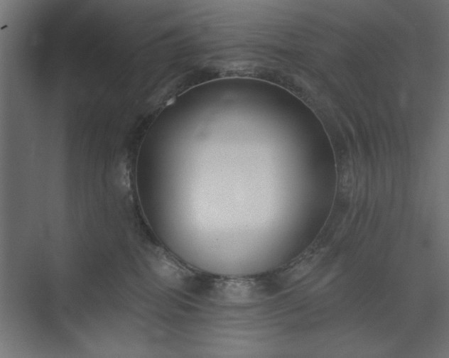 X0000073950282200608281223