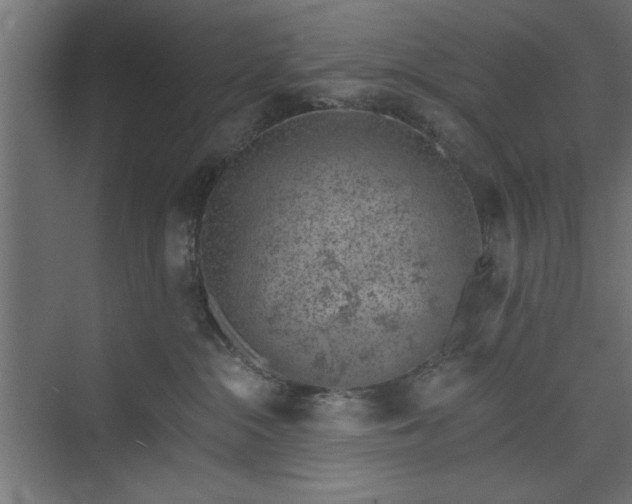 X0000073950284200608281223