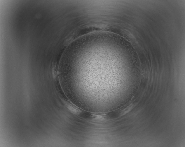 X0000073950285200608281223