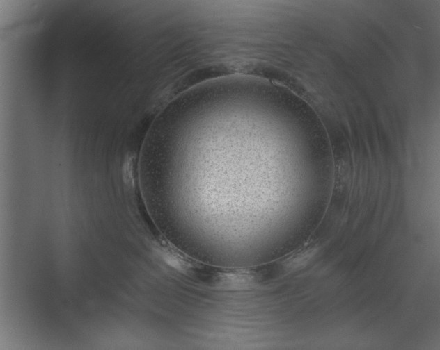 X0000073950286200608281223