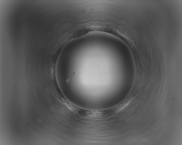 X0000073950288200608281223