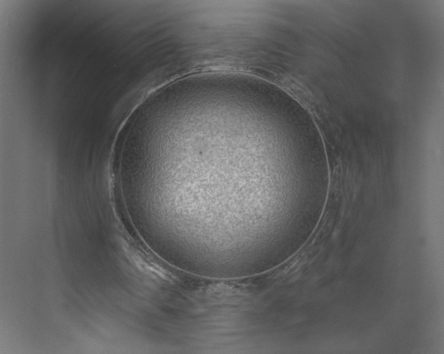 X0000073950290200608281222