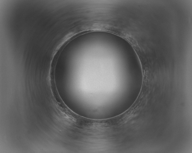 X0000073950292200608281222