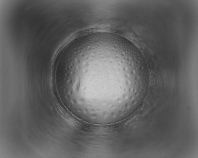 X0000073950293200608281222