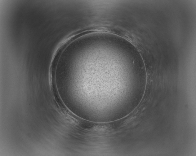 X0000073950294200608281222