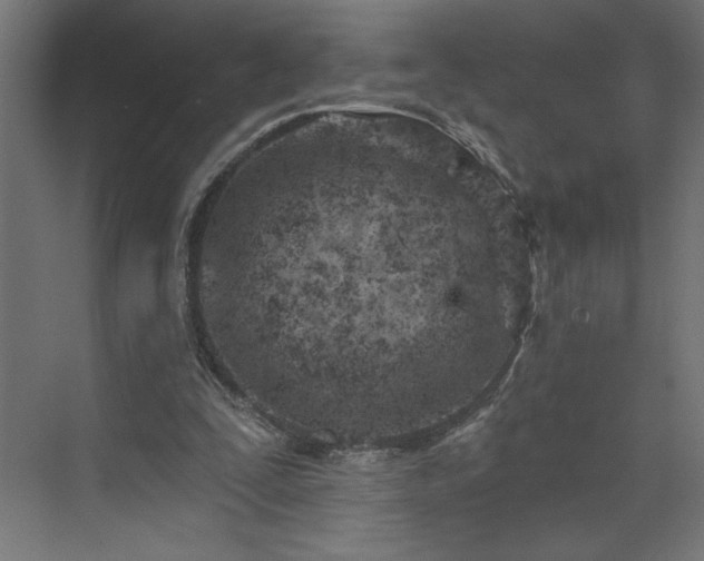 X0000073950295200608281222