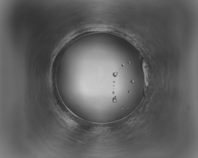 X0000073950296200608281222