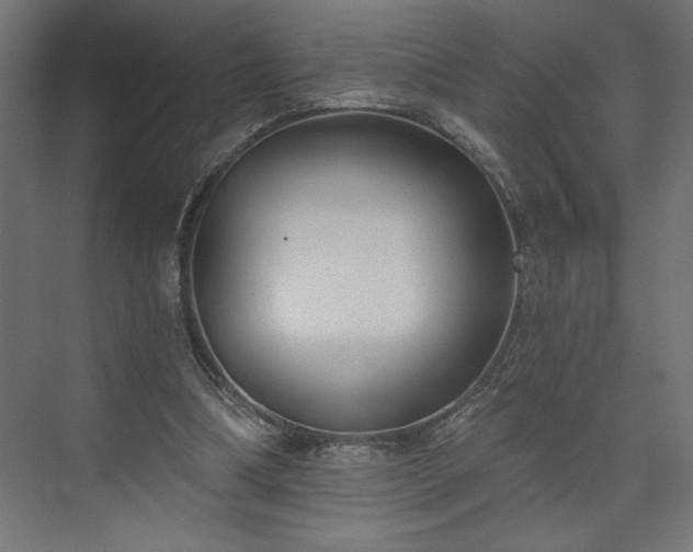 X0000073950298200608281222