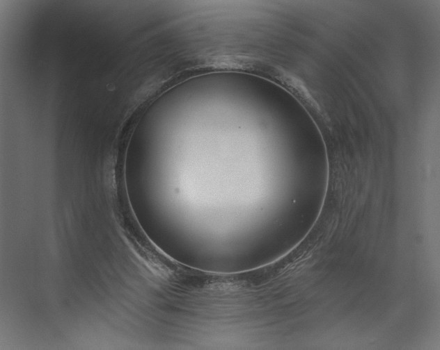 X0000073950299200608281222