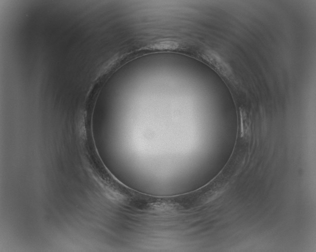 X0000073950300200608281222