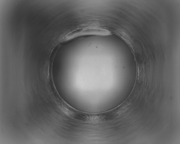 X0000073950301200608281222