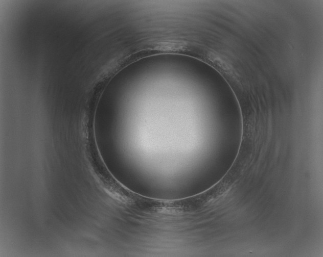 X0000073950303200608281222