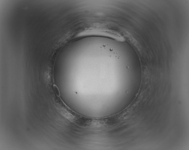 X0000073950305200608281222