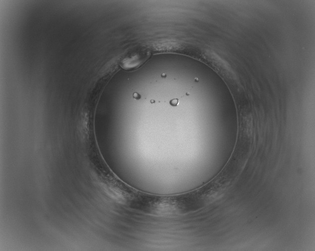 X0000073950308200608281222