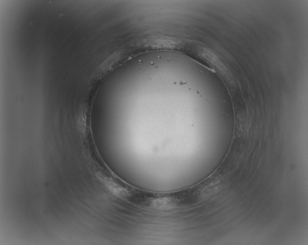 X0000073950309200608281222