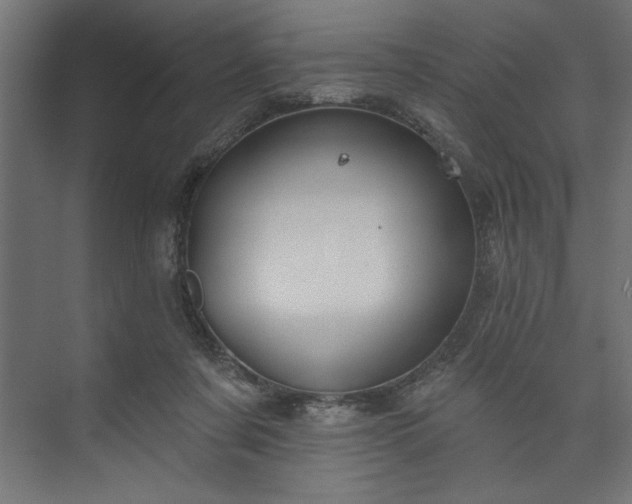 X0000073950311200608281222