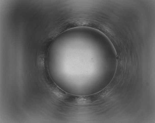 X0000073950315200608281222