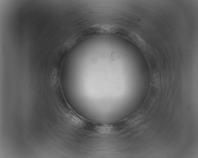 X0000073950318200608281222