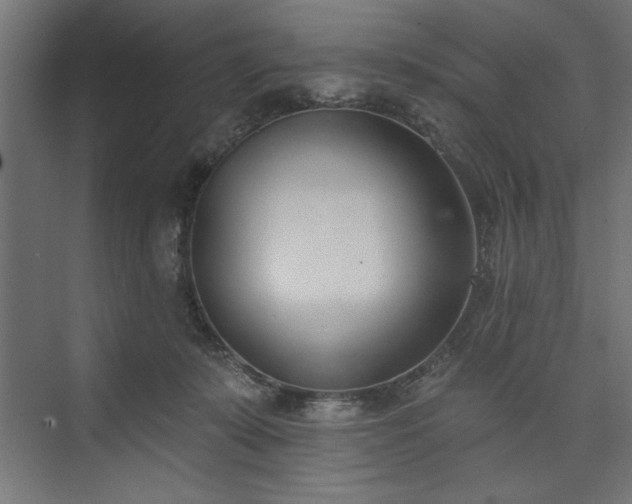 X0000073950319200608281222