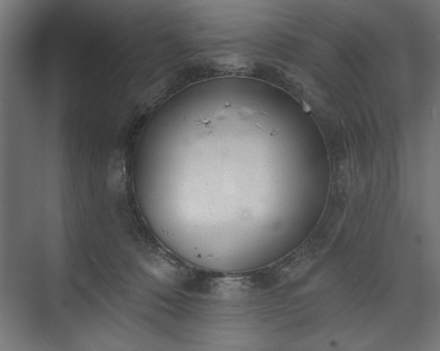 X0000073950320200608281222