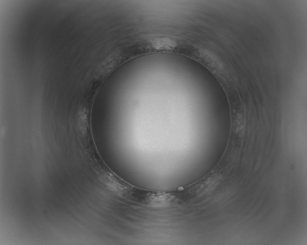 X0000073950321200608281222