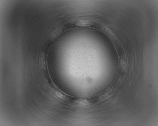 X0000073950322200608281222