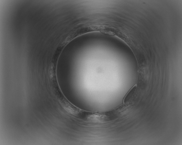 X0000073950323200608281222