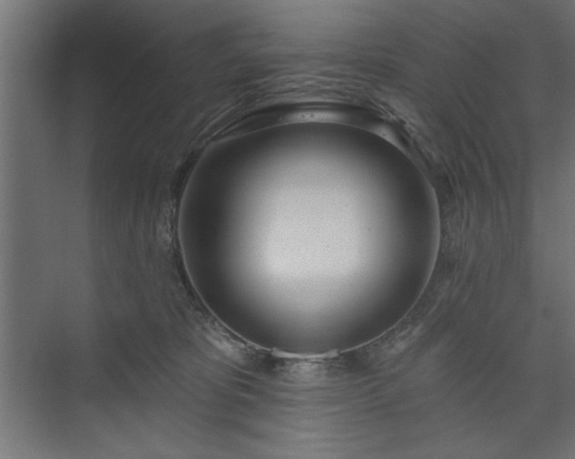 X0000073950325200608281222