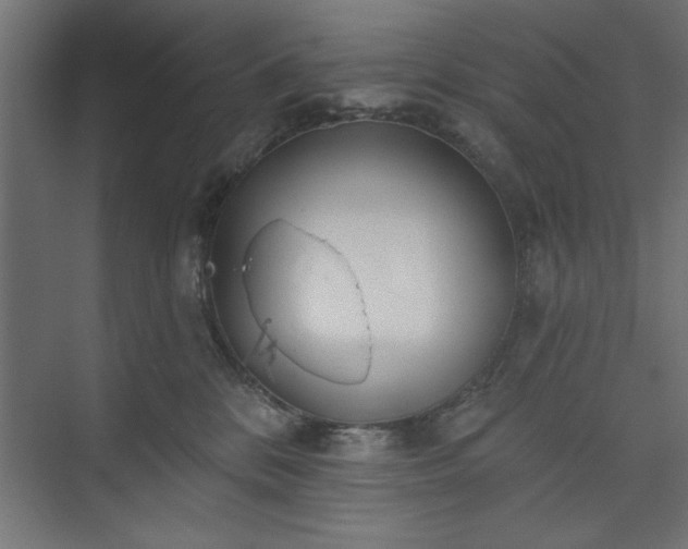 X0000073950328200608281222